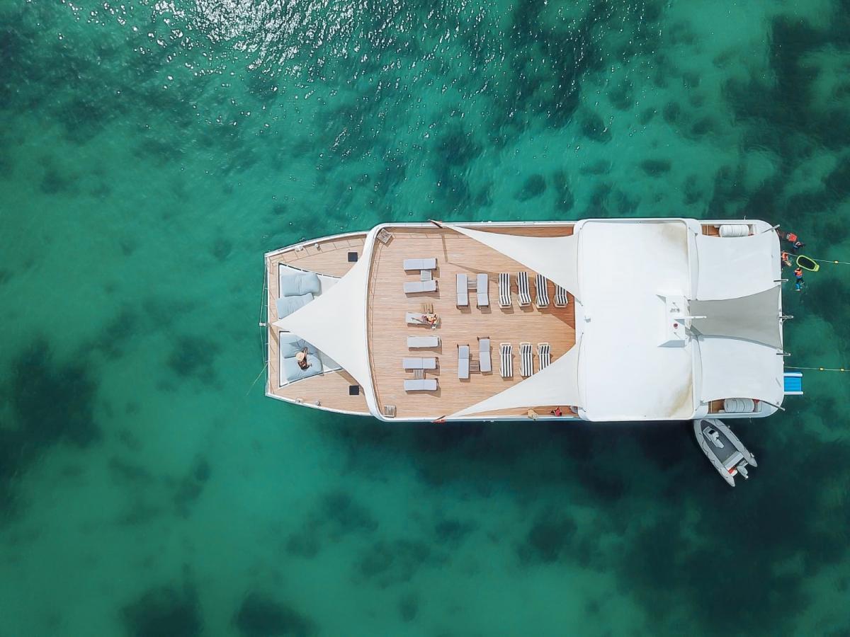 Party Catamaran 111ft